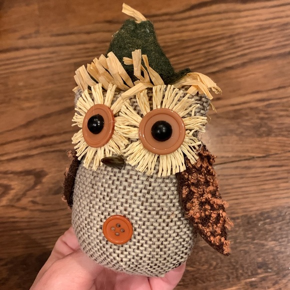 Fall Craft Set- 2 burlap pumpkins and owl and 2 Halloween stencils - Picture 6 of 11